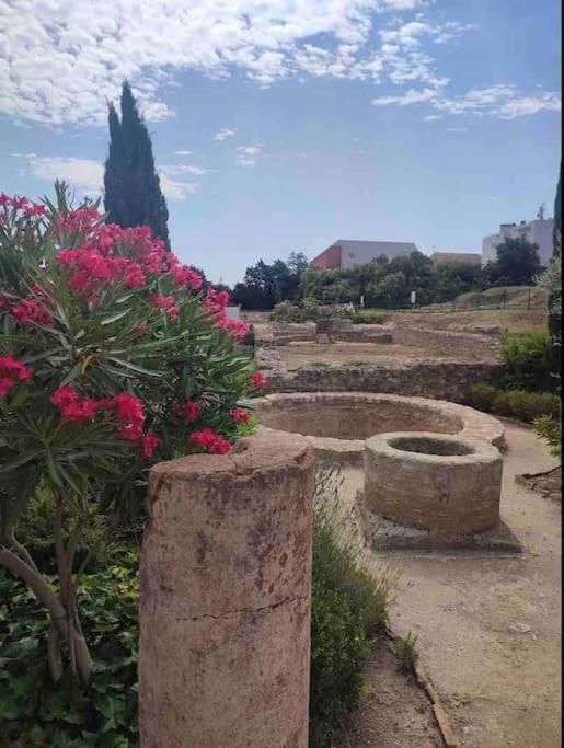 Soleil Sucre T2 Centre Historique De Narbonne Leilighet Eksteriør bilde