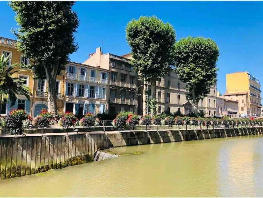 Soleil Sucre T2 Centre Historique De Narbonne Leilighet Eksteriør bilde