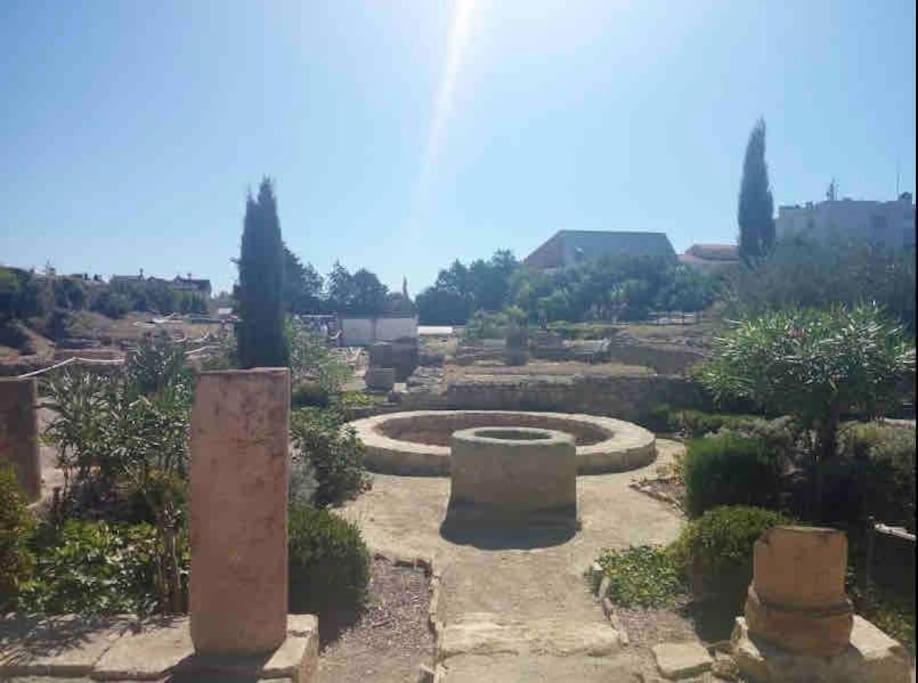 Soleil Sucre T2 Centre Historique De Narbonne Leilighet Eksteriør bilde