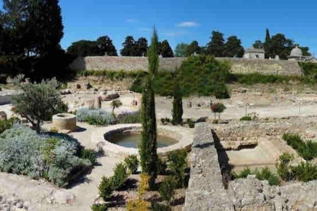 Soleil Sucre T2 Centre Historique De Narbonne Leilighet Eksteriør bilde
