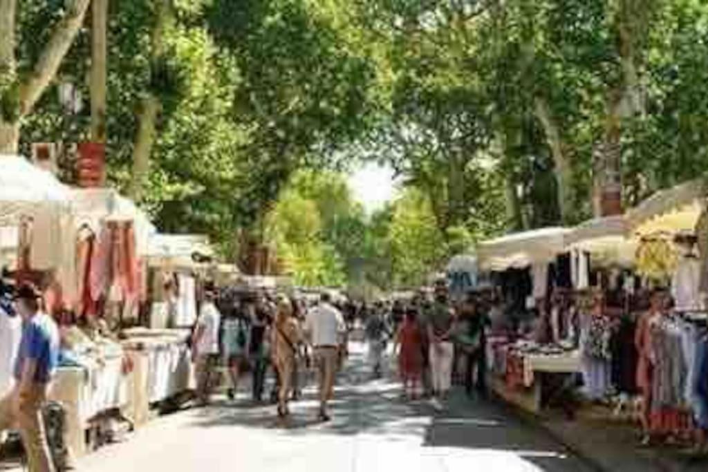 Soleil Sucre T2 Centre Historique De Narbonne Leilighet Eksteriør bilde